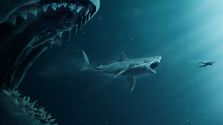 <i>The Meg 2 </i>Is Coming to Shark Up the Silver Screen With a New Director